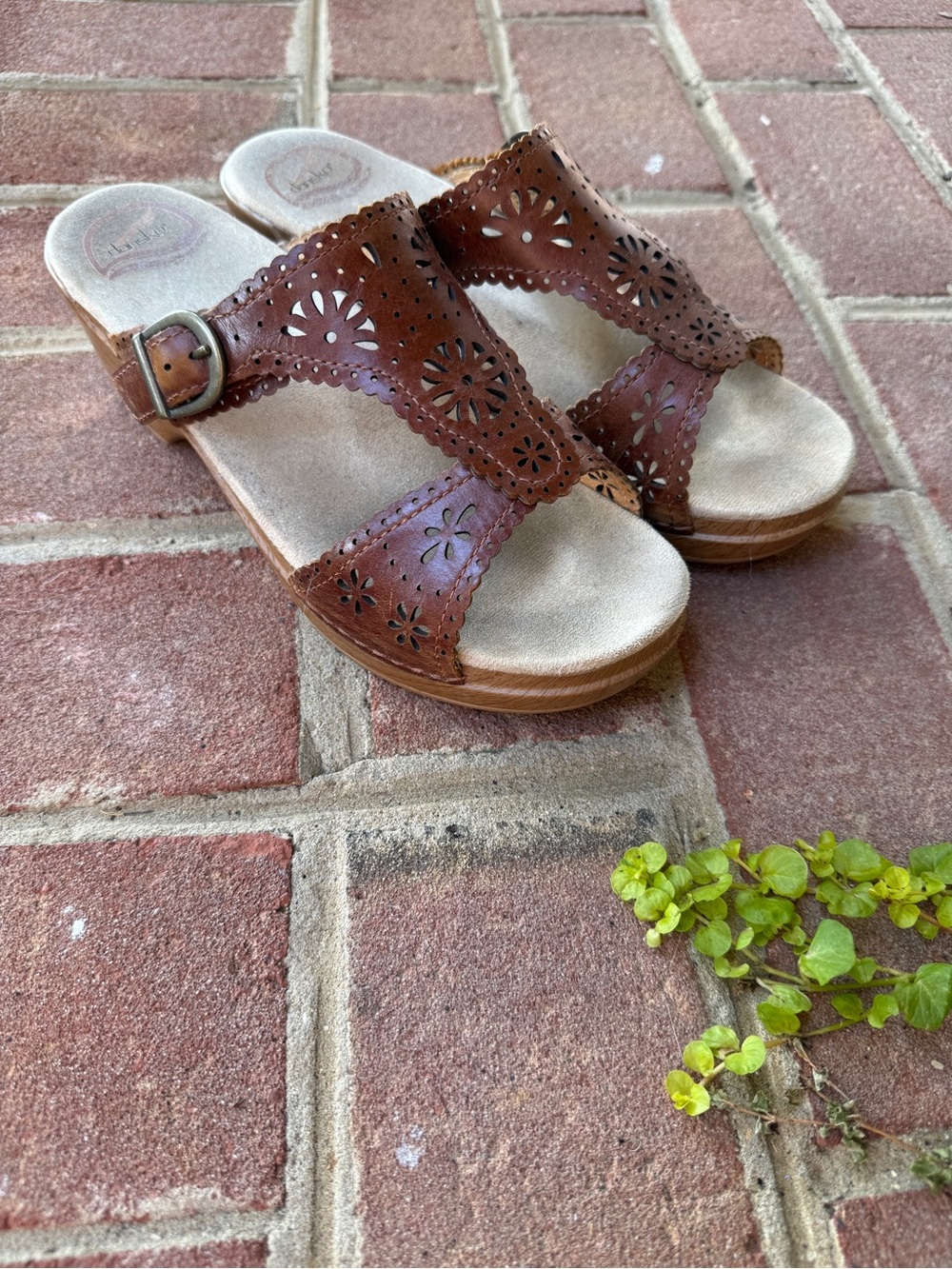Dansko Brown Laser-Cut Leather Slide Sandals